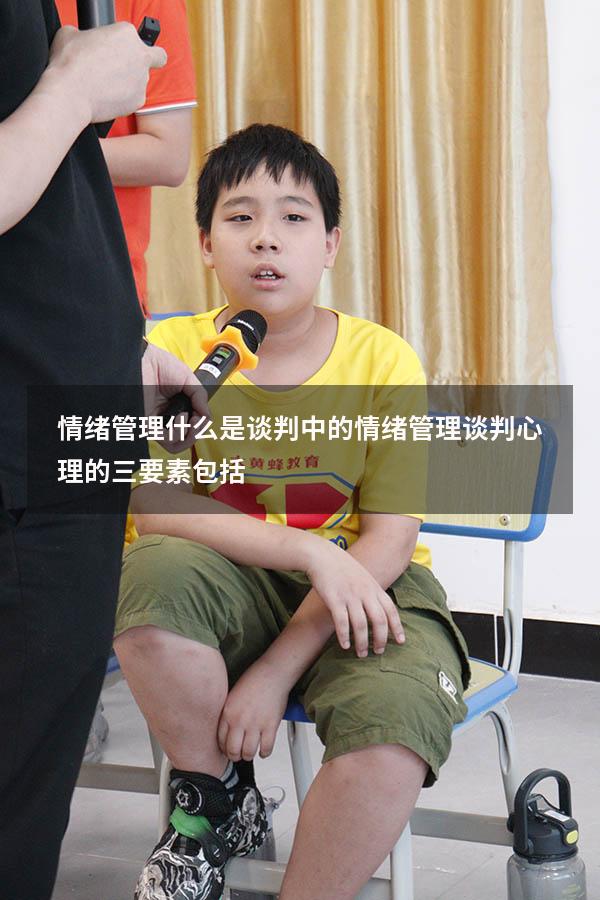 情绪管理 什么是谈判中的情绪管理（谈判心理的三要素包括）